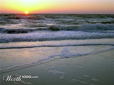 Photography by iamgreekdammit
