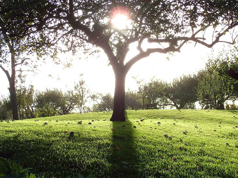 Photography by Craigr1978 for DesignCrowd (Community Contests) | Design #9073003