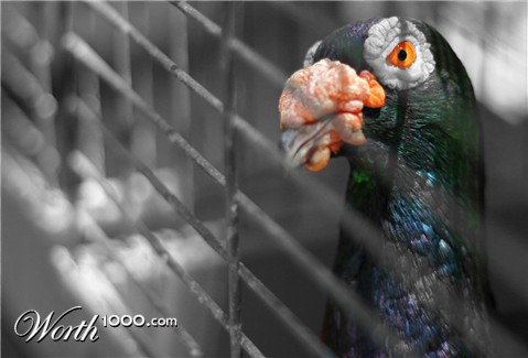 Photography by frenesi