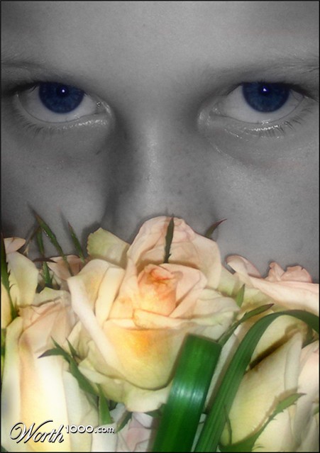 Photography by nowheregirl