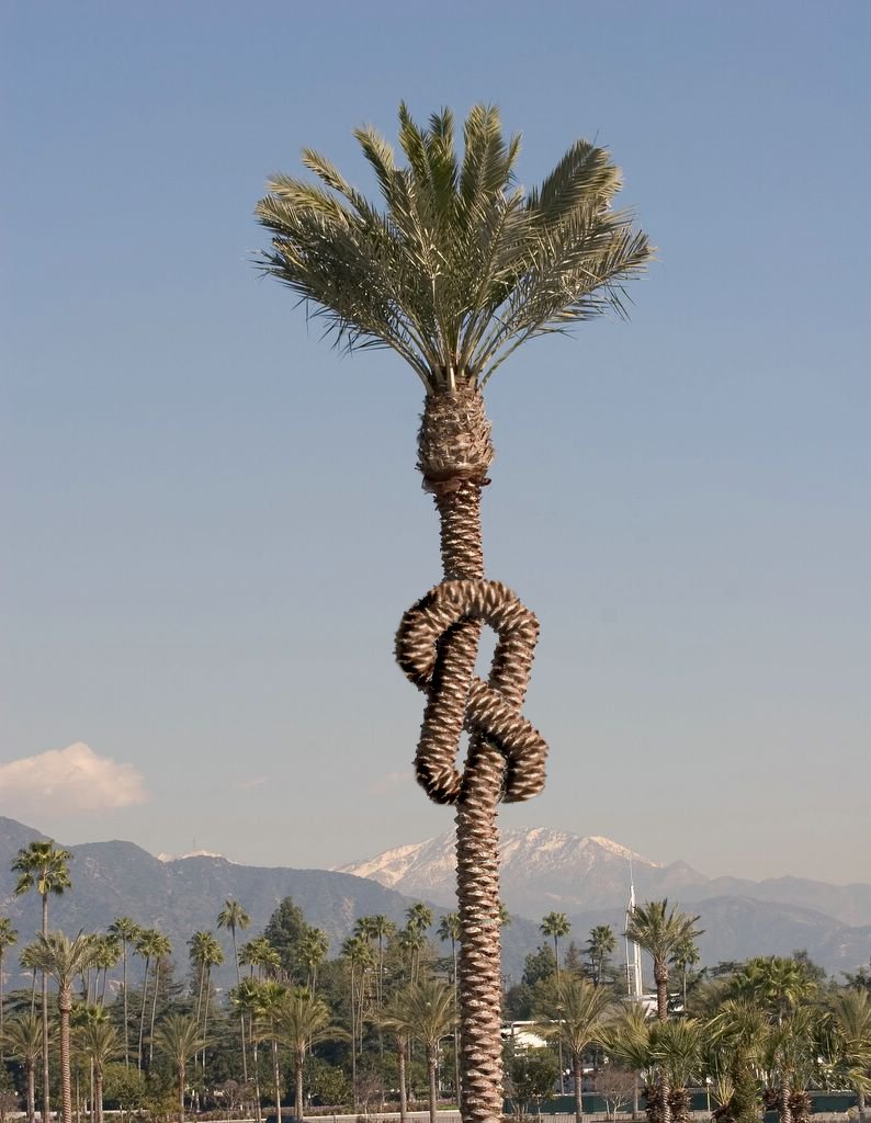 Photoshop Design by JClark8220 for DesignCrowd (Community Contests) | Design #9063125