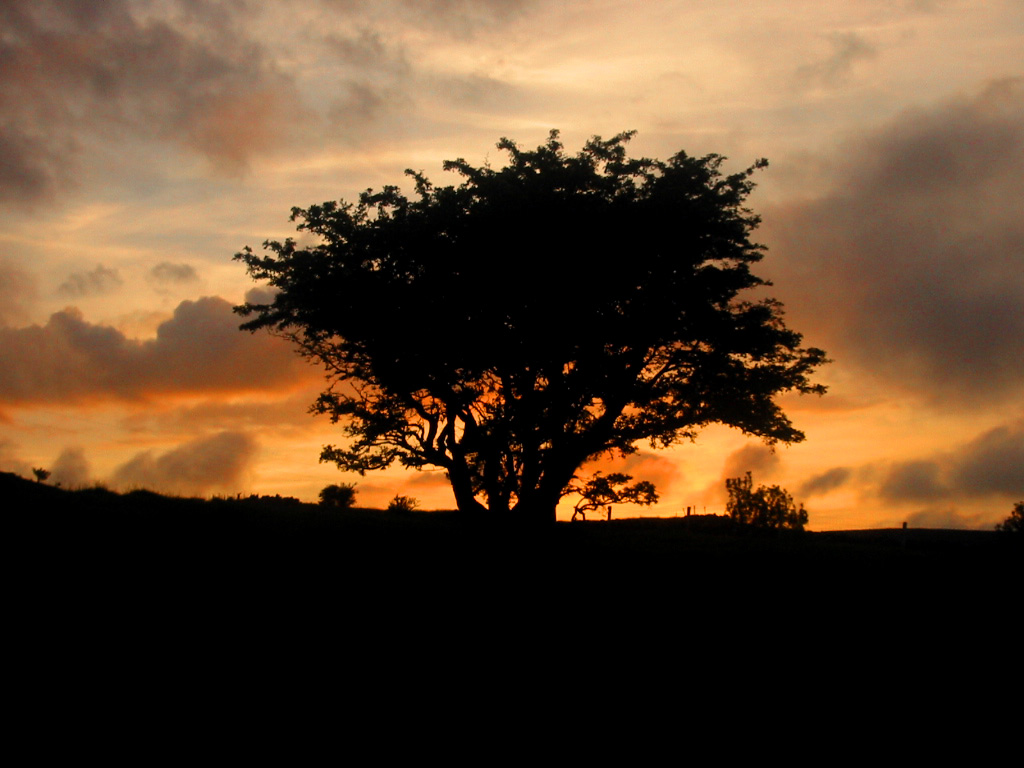 Photography by xb70valkyrie for DesignCrowd (Community Contests) | Design #9073027