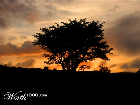 Photography by xb70valkyrie