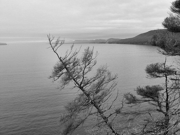 Photographie par KarenC pour DesignCrowd (Community Contests) | Design #9073011