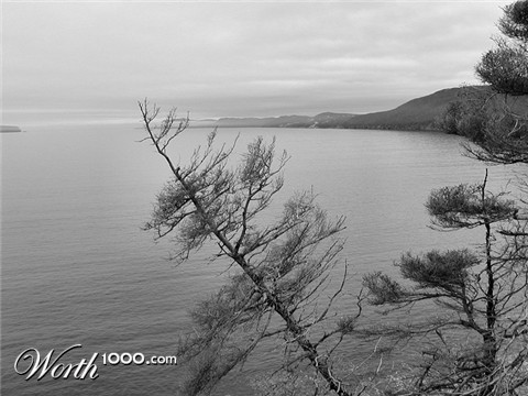 Photography by KarenC