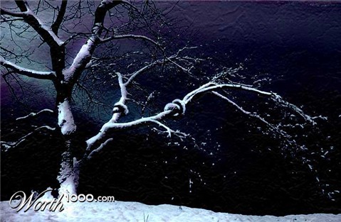 Photoshop Design by jamiegirl