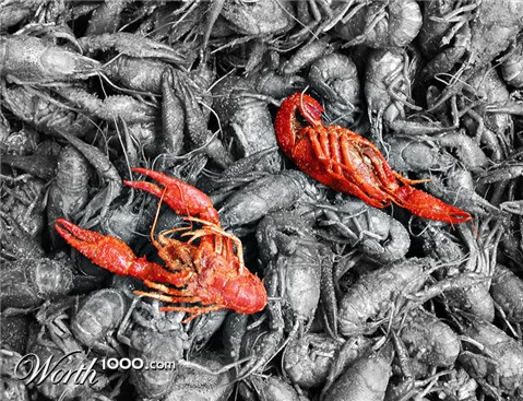 Photography by Fishcat