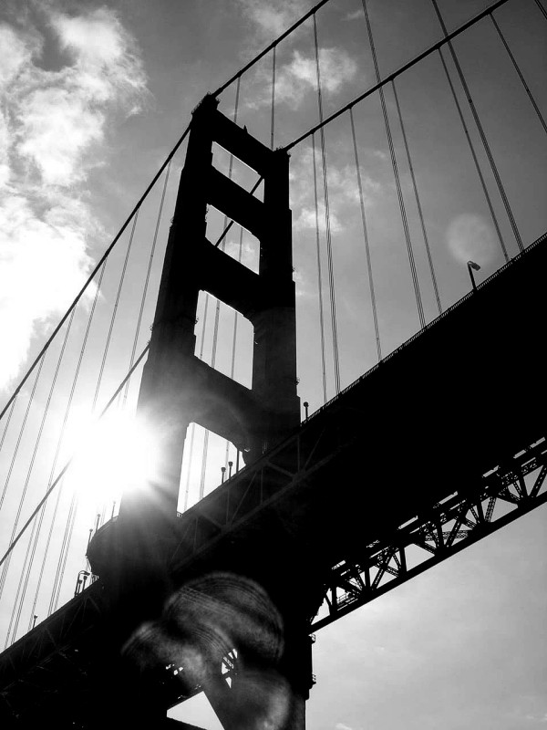 Photography by stayceejae for DesignCrowd (Community Contests) | Design #9073012