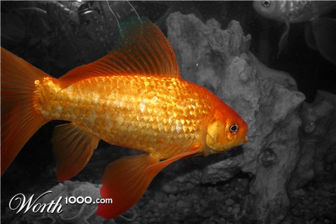 Photography by rdyamiphoto