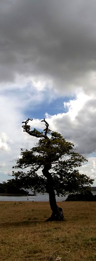 Photographie par TotalDomination pour DesignCrowd (Community Contests) | Design #9073093