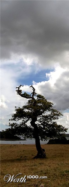 Photography by TotalDomination