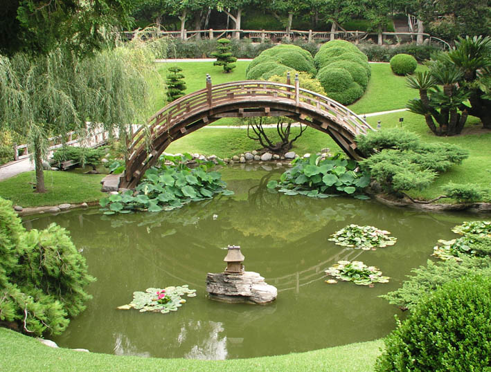 Photography by UPUPUP for DesignCrowd (Community Contests) | Design #9072978