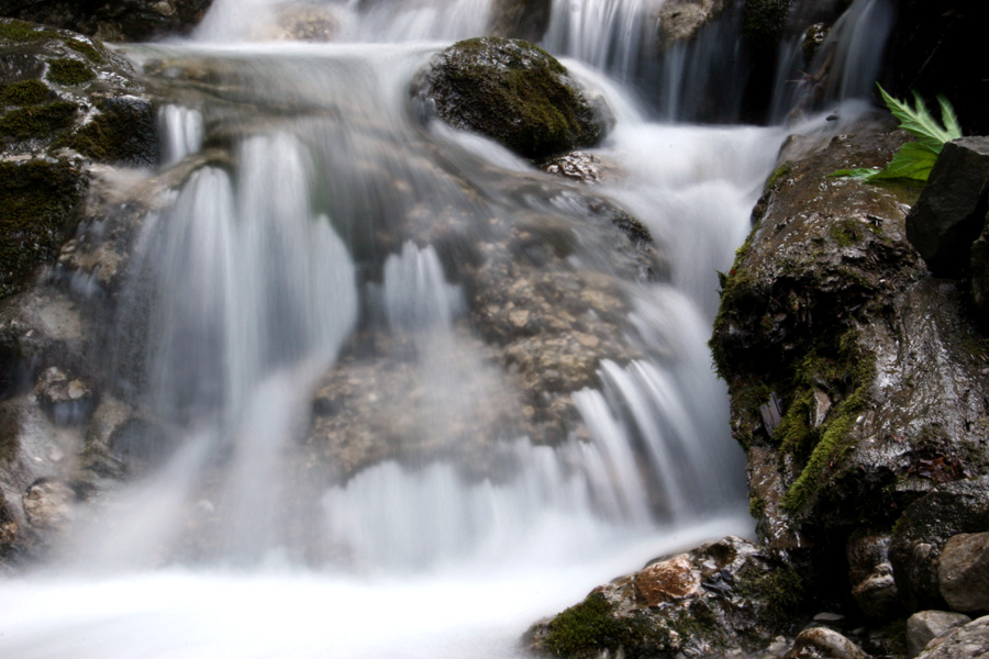 Fotografía por chippyRo para DesignCrowd (Community Contests) | Diseño #9072232