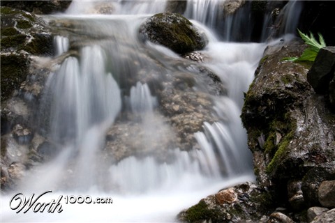 Photography by chippyRo