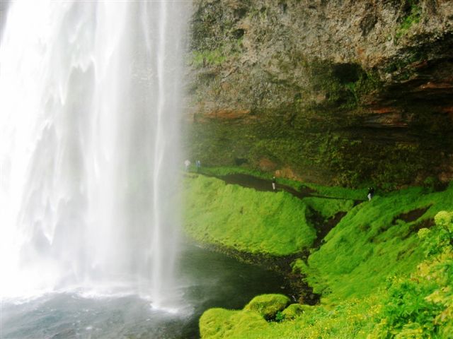 Fotografie von Maddyy für DesignCrowd (Community Contests) | Design #9072256