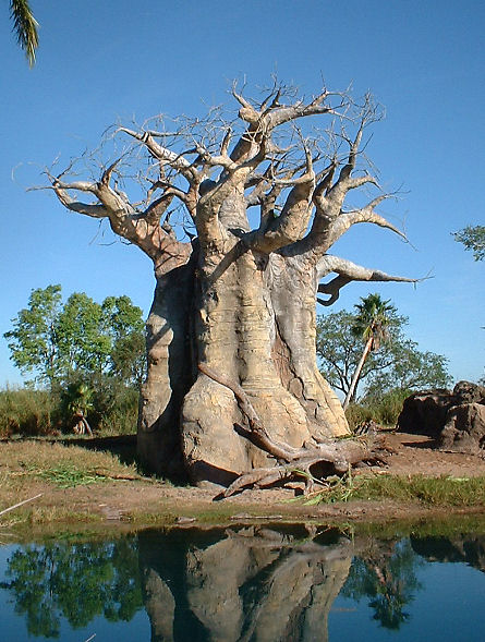 Photography by angel2kiss for DesignCrowd (Community Contests) | Design #9073084