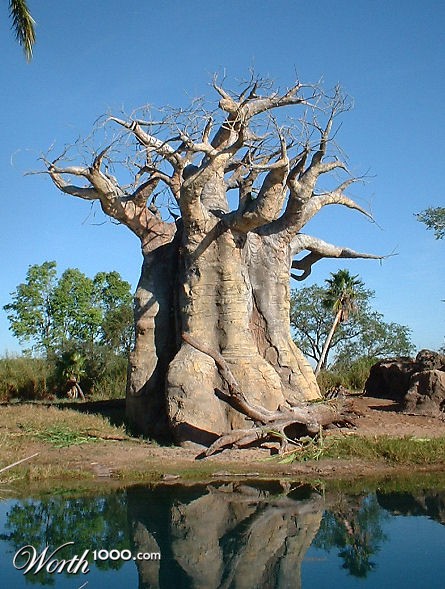 Photography by angel2kiss