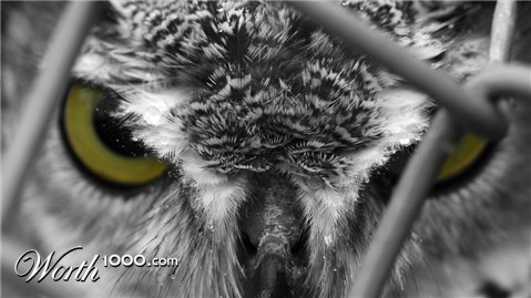 Photography by Redbull_UK