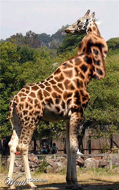 Photoshop Design by motorhead