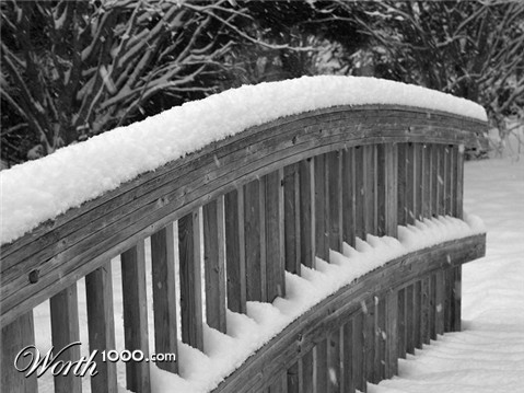 Photography by KarenC