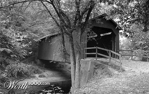 Photography by dylder