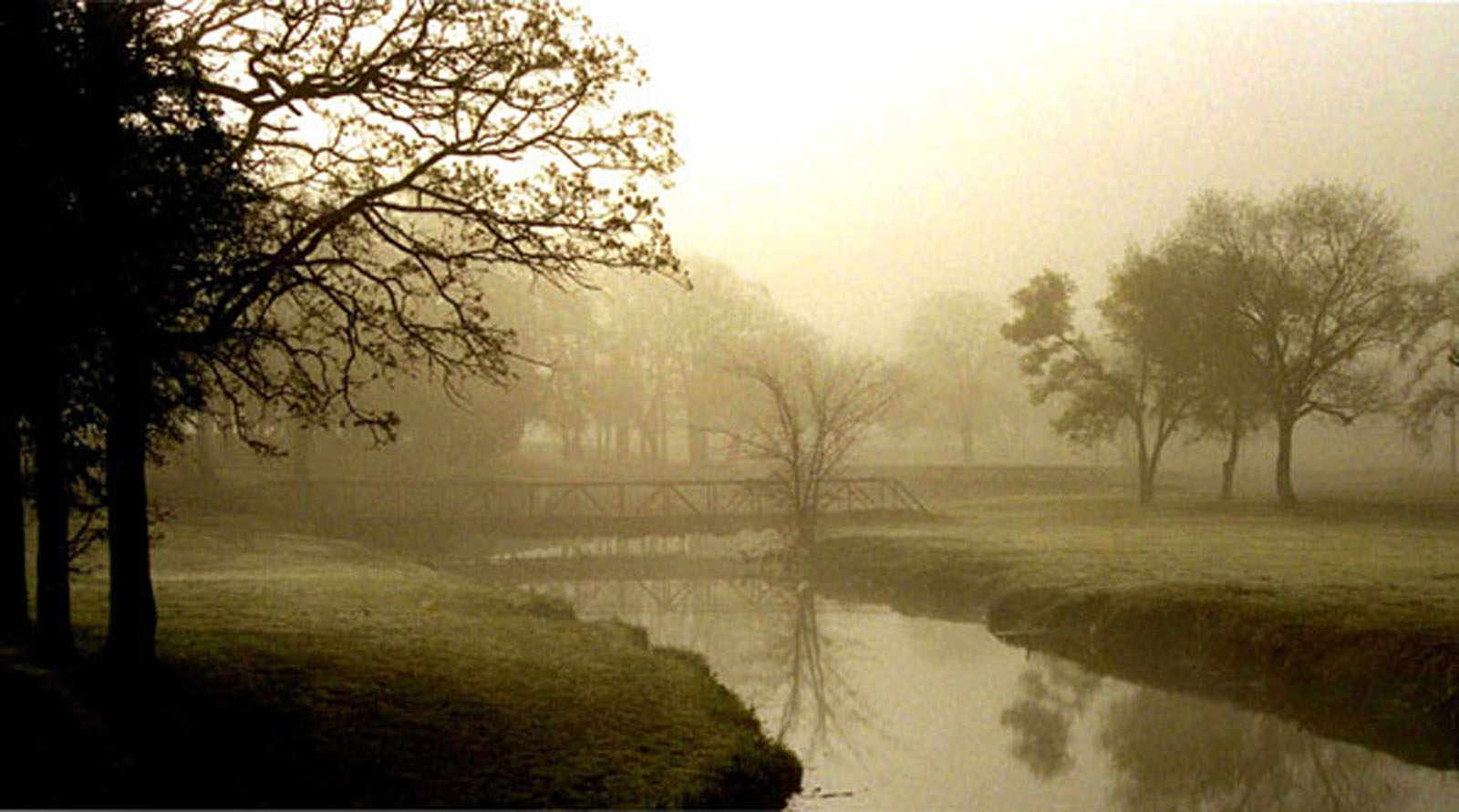 Photography by tigercrosse for DesignCrowd (Community Contests) | Design #9072991