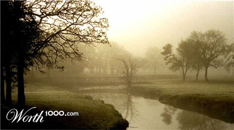 Photography by tigercrosse