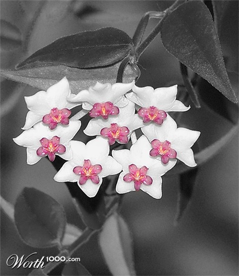 Photography by Kallibo