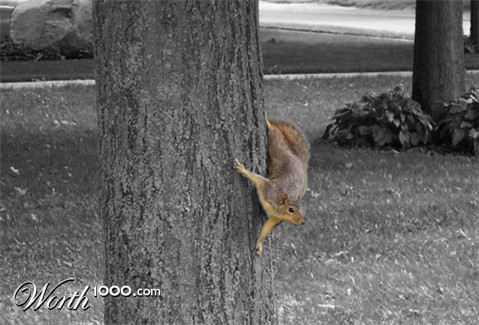 Photography by hersheycub