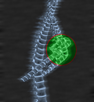 Diseño de Photoshop por kousalya para DesignCrowd (Community Contests) | Diseño #9063146