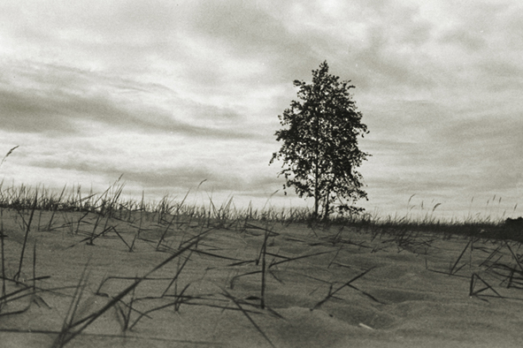 Photography by funcky for DesignCrowd (Community Contests) | Design #9073068