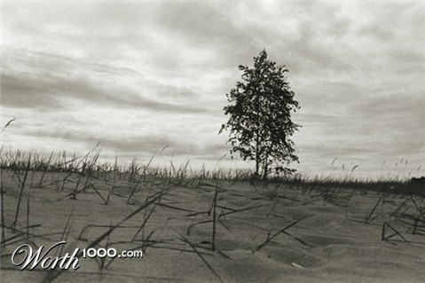 Photography by funcky