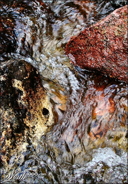 Photography by DiffDrummer