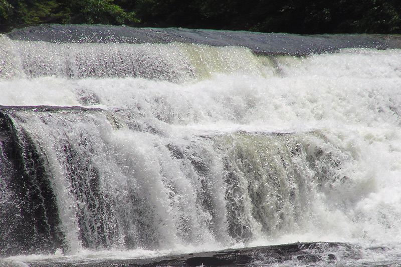 Fotografie von crgnjul für DesignCrowd (Community Contests) | Design #9072361