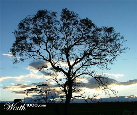 Photography by ADROALDO