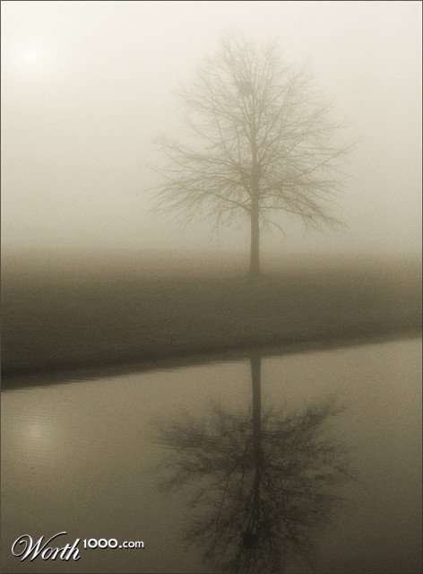 Photography by theLimeyBrit