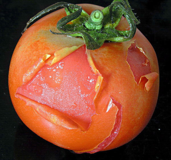 Photography by mzmzmzmz for DesignCrowd (Community Contests) | Design #9071400