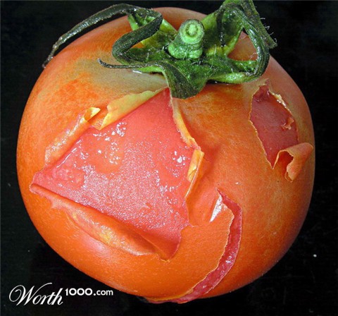 Photography by mzmzmzmz