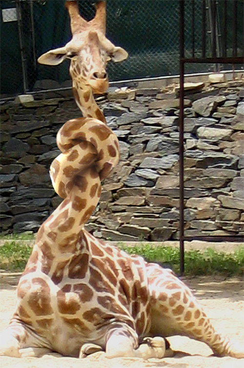 Photoshop Design by TIOCHICO for DesignCrowd (Community Contests) | Design #9063238