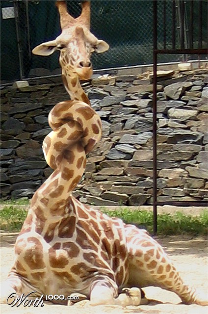 Photoshop Design by TIOCHICO