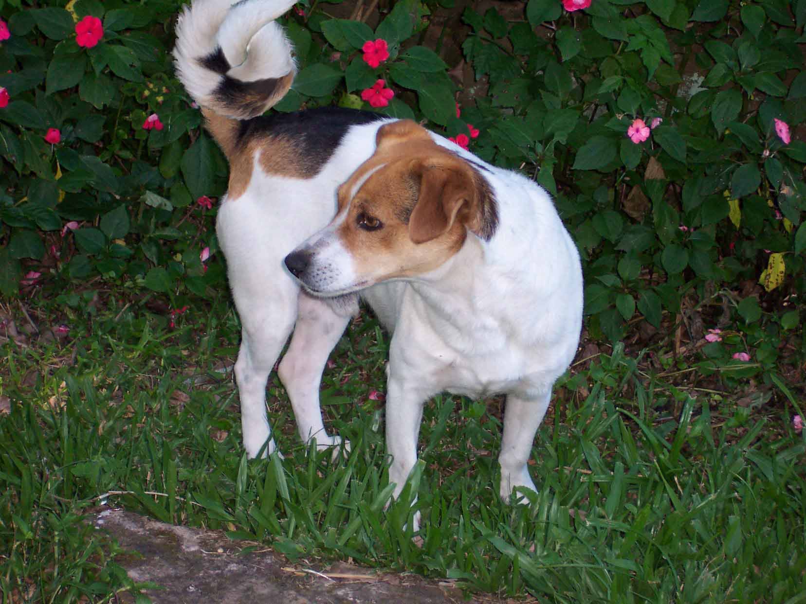 Photoshop Design by yavannilde for DesignCrowd (Community Contests) | Design #9063308