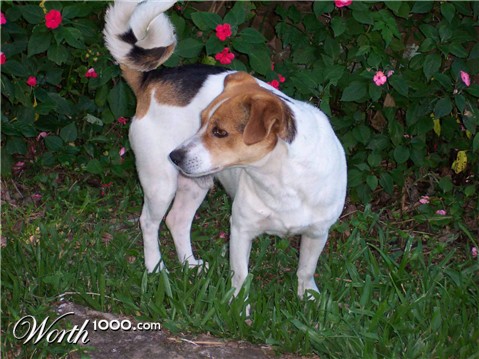 Photoshop Design by yavannilde