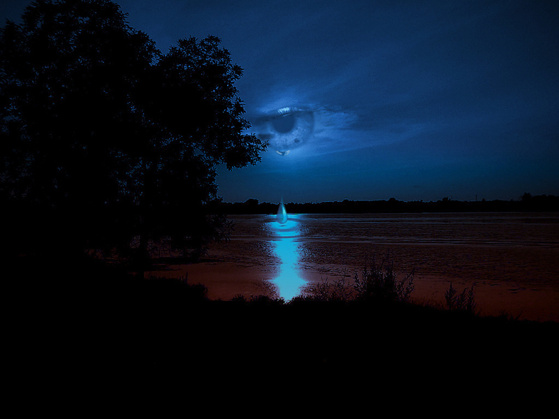 Photography by Jethrolutt for DesignCrowd (Community Contests) | Design #9068871