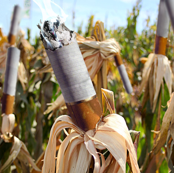 Photoshop Design by millerseth for DesignCrowd (Community Contests) | Design #9075887