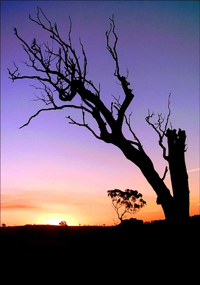 Photography by Budmulla for DesignCrowd (Community Contests) | Design #9073127