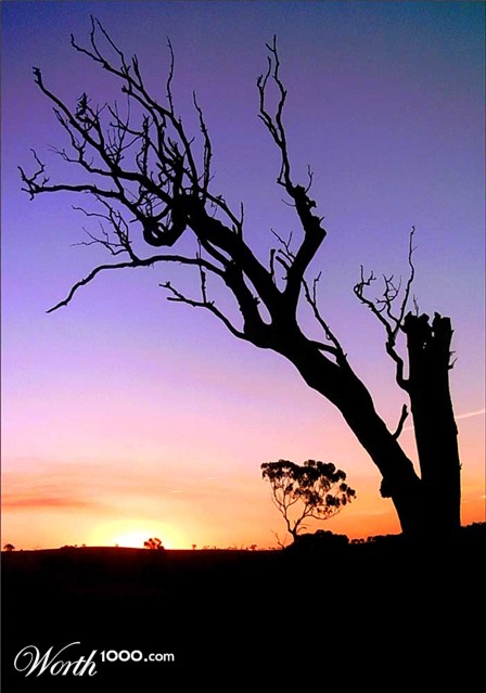 Photography by Budmulla