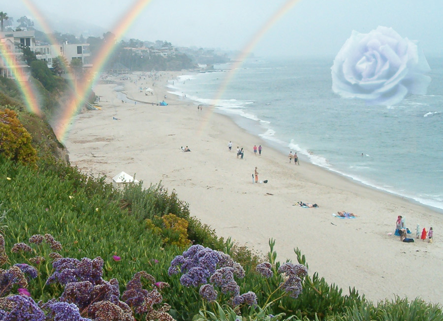 Photography by Ivor121 for DesignCrowd (Community Contests) | Design #9068873