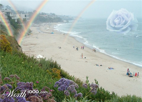 Photography by Ivor121