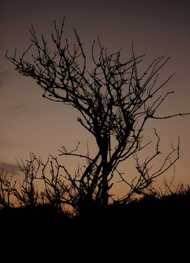 Photography by Sutebe for DesignCrowd (Community Contests) | Design #9073204