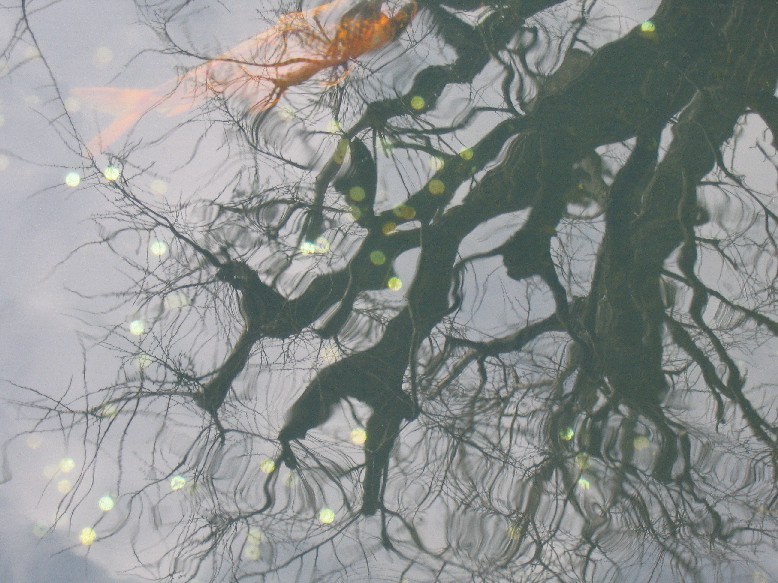 Photographie par Juicer pour DesignCrowd (Community Contests) | Design #9073125